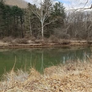 Meet your Posher, Paula